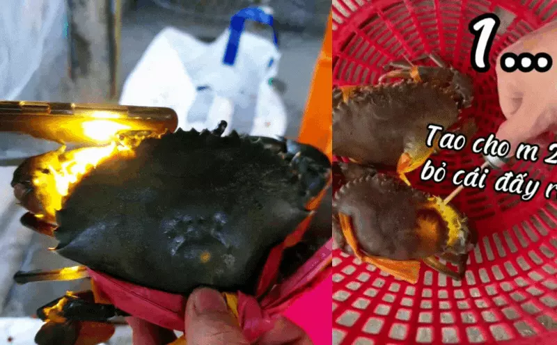 Dan bien tiet lo: Dung den soi diem nay biet cua ngon hay do