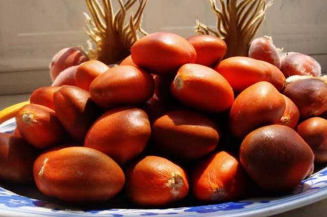 Loài cây 20 năm mới ra quả, mang lại giàu sang may mắn, người mua săn lùng như báu vật - Hình 7 Loai cay 20 nam moi ra qua, mang lai giau sang may man, nguoi mua san lung nhu bau vat-Hinh-7