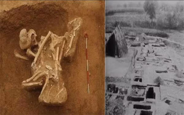 Lang mo con gai Tan Thuy Hoang: Tu the qua doi to cao toi ac cua anh trai-Hinh-2