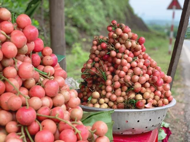 Những quả dâu da được hái và đưa ra đường để bán.