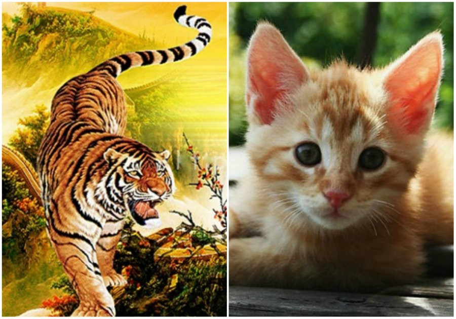 Thần Tài chiếu cố, 3 con giáp phát tài khủng khiếp từ Rằm tháng 8 Than Tai chieu co, 3 con giap phat tai khung khiep tu Ram thang 8