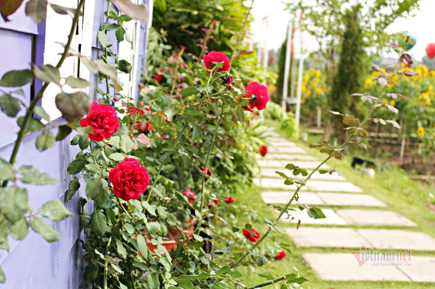 Me chong benh con trai ngoai tinh, nang dau tung chieu doc