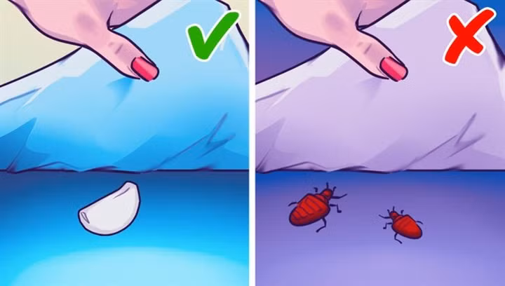 Vi sao nen dat mot nhanh toi duoi goi khi ngu?