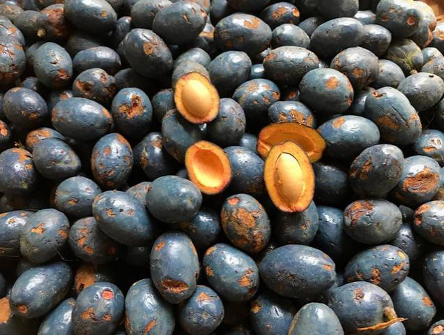 La ki thu qua mien que ngheo tuong bo di gio duoc san lung