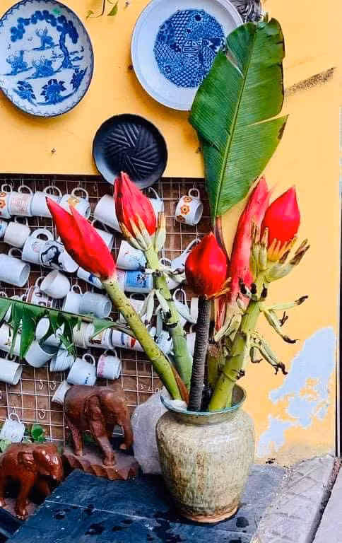 Dan Ha thanh chuong mua hoa chuoi rung ve cam choi Tet-Hinh-2