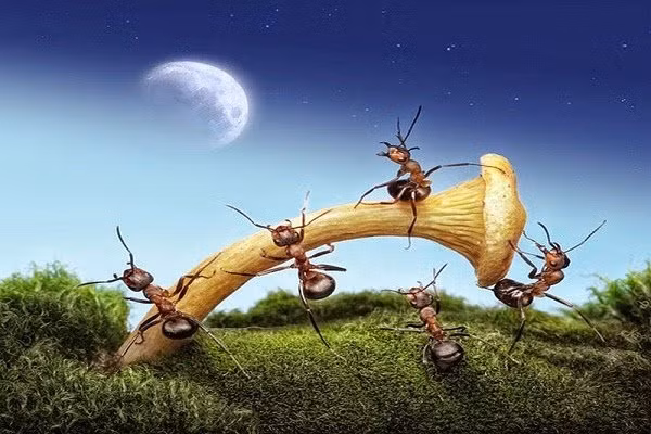 Kiên nhẫn hơn trong cuộc sống là chìa khóa thành công Kien nhan hon trong cuoc song la chia khoa thanh cong