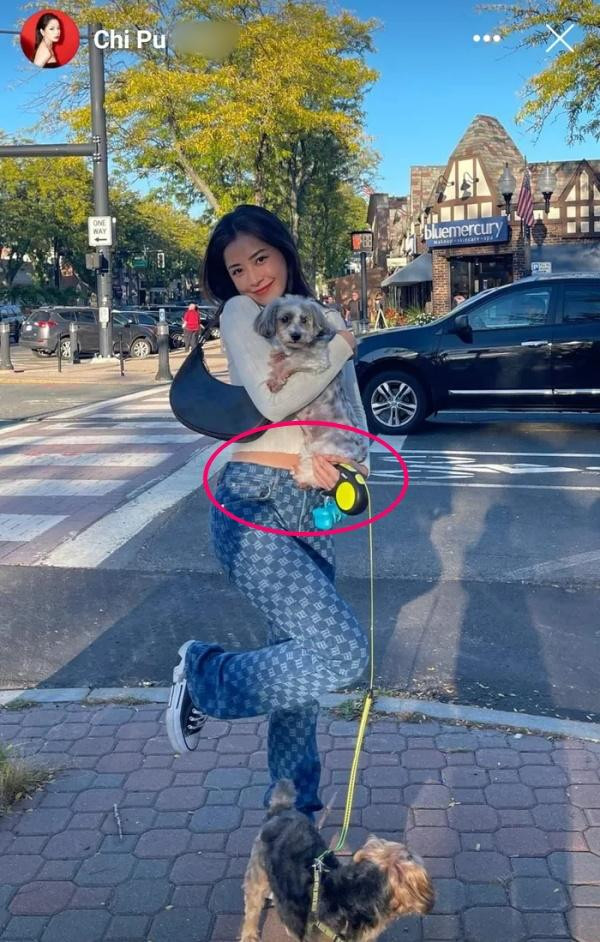 Thậm chí, dân mạng khăng khăng cho rằng hành động bế chó này là cách để Chi Pu che bụng...