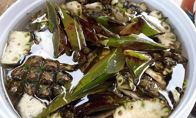 Vo chong tre phu phep vo dua thanh che pham sinh hoc, thu tien ty-Hinh-2