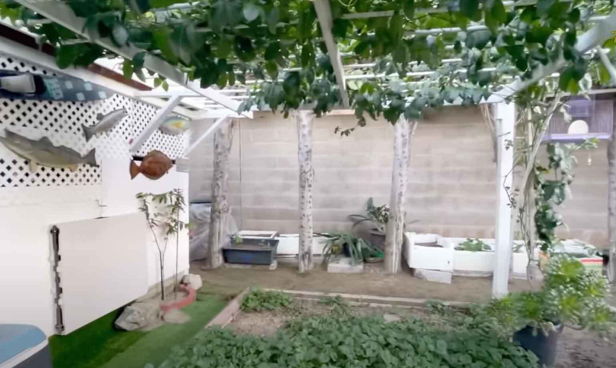 Hương Lan tiết lộ, khu vườn nhà do chính tay ông xã thiết kế. Ông trồng nhiều loại hoa, cây trái, rau xanh, ngoài ra còn nuôi chim, nuôi gà... Tiết lộ về ông xã, Hương Lan cho biết chồng rất đảm đang, chăm lo mọi công việc chăn nuôi, chăm sóc vườn tược.