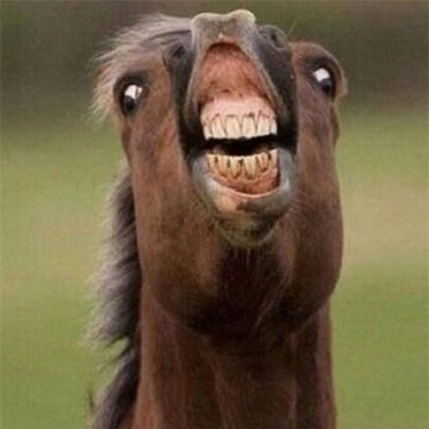 Khi bạn bị bắt cười tạo dáng