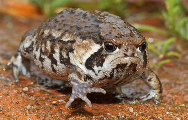 Anh đây không thích chụp ảnh nhé