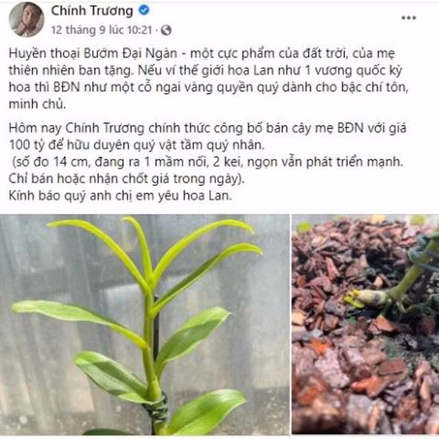 Nhung cuoc chuyen nhuong lan dot bien hang tram ty gay soc du luan-Hinh-2