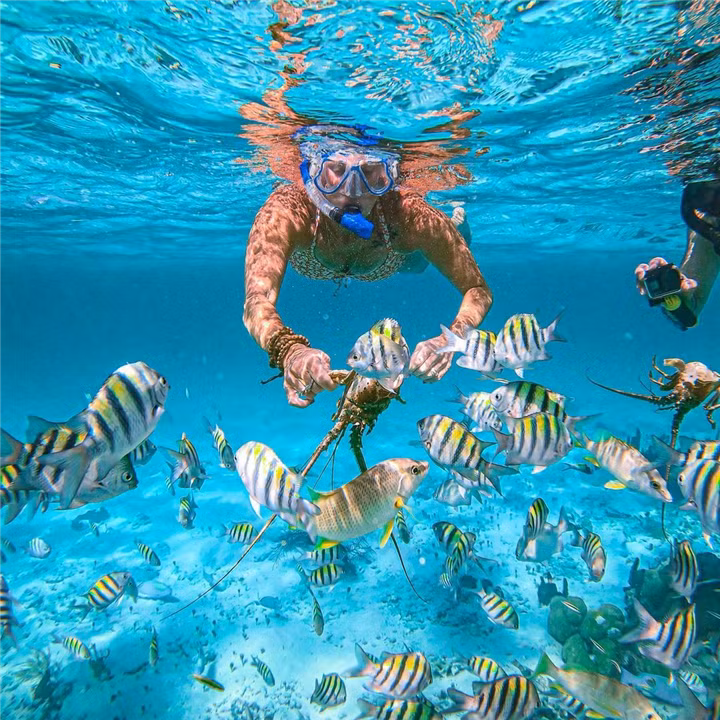 Harbour được mệnh danh là thiên đường của những người yêu thích bộ môn lặn. (Ảnh: tymancharters)