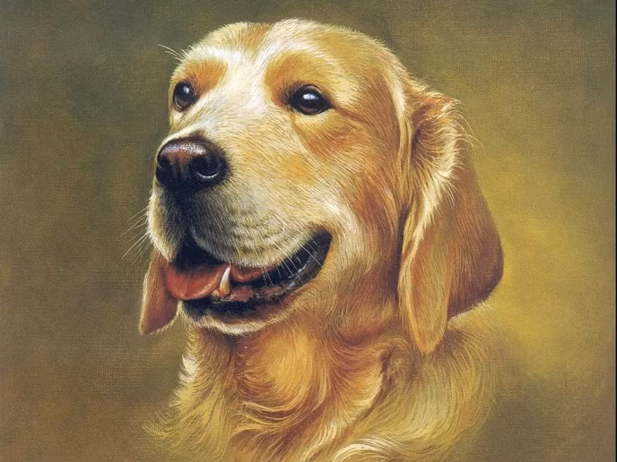 Con giáp sẽ được thần tài nuông chiều hết mực. Cứ ra tới cửa tiền rơi trúng đầu, tài lộc đỏ như son khiến thu nhập của con giáp này tăng theo cấp số nhân từng ngày. Dù có đang nghèo mạt rệp thì thời gian tới bản mệnh cũng sẽ đổi đời ngoạn mục, giàu sang vô đối (*)Thông tin trong bài chỉ mang tính chiêm nghiệm, tham khảo