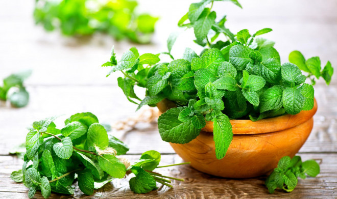 Rau bac ha 350 nghin moi hop tuy trong luong, dan can rang mua