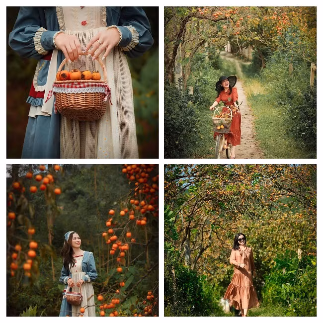 Trao đổi với PV, ông Hồ Viết Hoa – Chủ tịch Hội Nông dân xã Nam Anh cho biết, hồng là cây trồng chủ lực của xã. Toàn xã có hơn 300 hộ trồng hồng với diện tích hơn 100 ha. Năm nay, ước tính sản lượng hồng của toàn xã đạt khoảng 500 tấn. Huyện Nam Đàn cũng đã có đề án phát triển du lịch cộng đồng từ các vườn hồng Nam Anh. Tiến tới việc đầu tư dây chuyền công nghệ chế biến sâu các sản phẩm từ quả hồng như hồng sấy dẻo, hồng giòn, mứt hồng… nhằm nâng cao giá trị cho quả hồng, mở rộng thị trường tiêu thụ cho quả hồng tại địa phương.