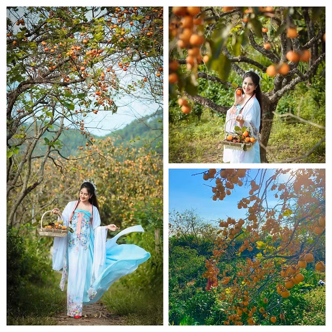 Vườn hồng đẹp như cổ tích nên các bạn trẻ rất thích chụp ảnh cùng trang phục theo phong cách cổ trang. (Ảnh: Thạch Anh Thơ).