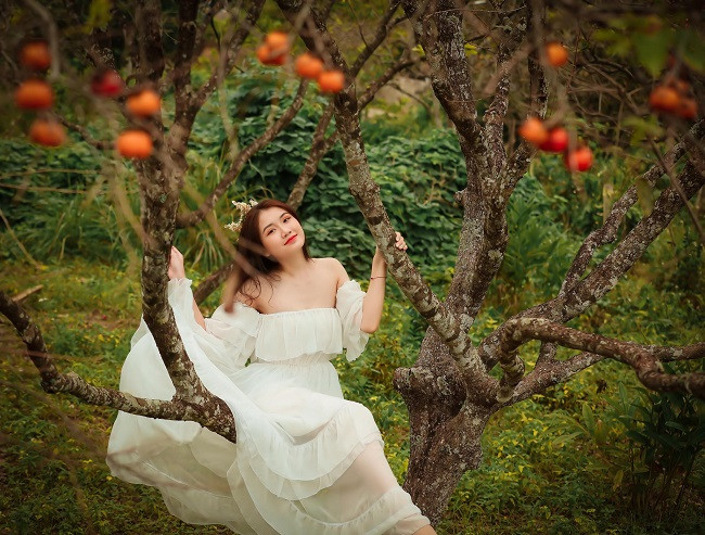 Anh Hồ Viết Ánh, chủ vườn hồng hơn 70 gốc tại Nam Anh cho biết, gia đình anh có khoảng 20 gốc hồng cổ thụ từ thời ông cha để lại và hơn 70 gốc hồng tơ mới trồng được khoảng 10 năm. Năm nay, gia đình anh dự kiến thu hoạch được khoảng 3 tấn quả. “Năm ngoái mất mùa, thời tiết không thuận lợi nên cho quả nhỏ. Năm nay được mùa, giá mua tại vườn cũng được khoảng 10-13.000 đồng/kg, đắt hơn năm ngoái. Một số nhà có vườn gần đường lớn, ô tô vào được họ đến chụp ảnh đông lắm”, anh Ánh cho hay. 