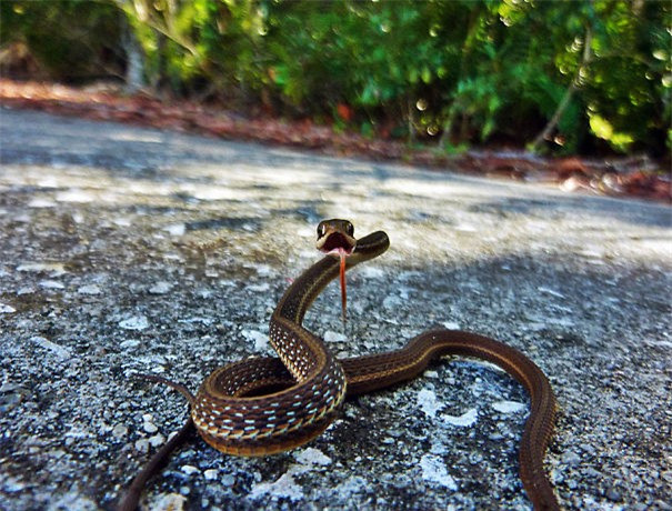 Đợi tui tạo dáng xong đã trời