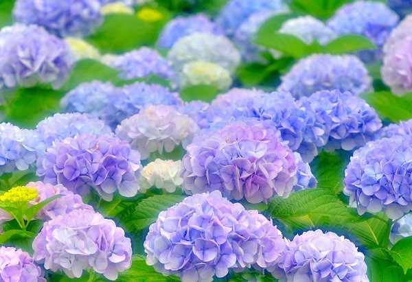 Người sinh tháng 11 Âm lịch kiên quyết từ chối cách làm giàu bất chính. Họ có thể dùng sự nhẫn nại và quan tâm đến người khác để làm cho cuộc sống của mình ngày càng tốt hơn.