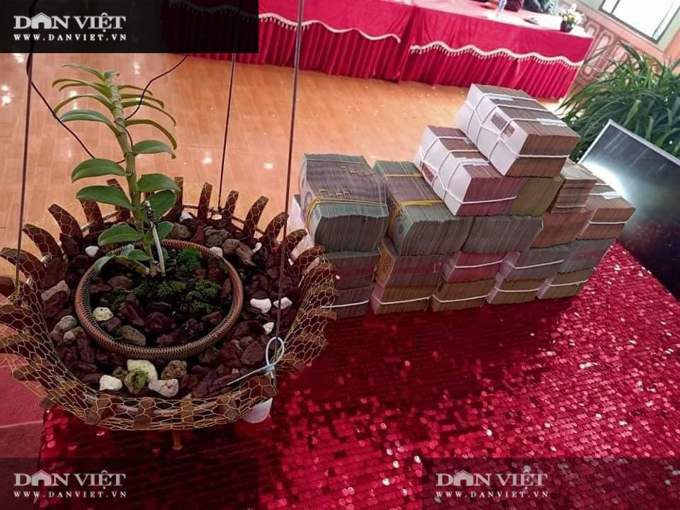 Xon xao chuyen nhuong lan dot bien Hong Ha Van gia 5,5 ty