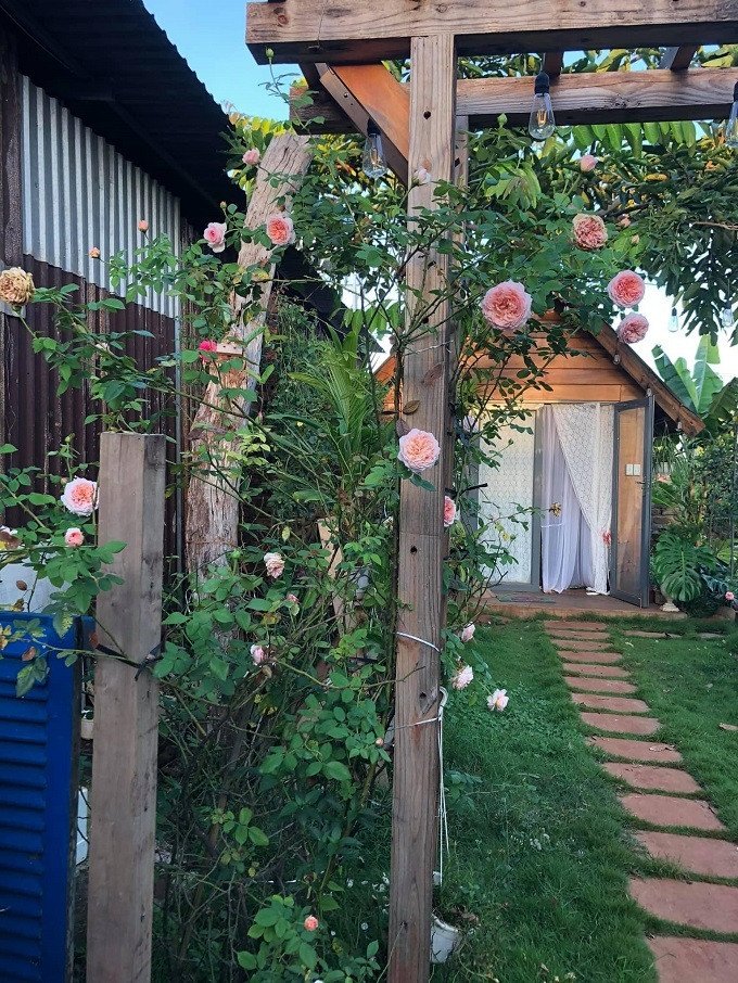 Ngôi nhà hoa hồng rộng 15m2 của vợ chồng trẻ ở Vũng Tàu ảnh 6