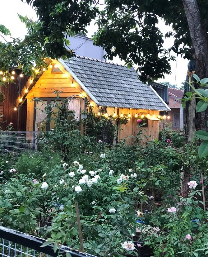 Ngôi nhà hoa hồng rộng 15m2 của vợ chồng trẻ ở Vũng Tàu ảnh 3