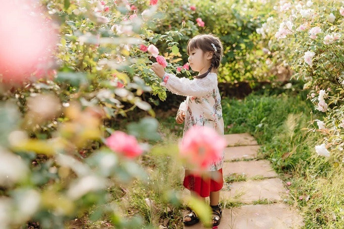 Ngôi nhà hoa hồng rộng 15m2 của vợ chồng trẻ ở Vũng Tàu ảnh 11