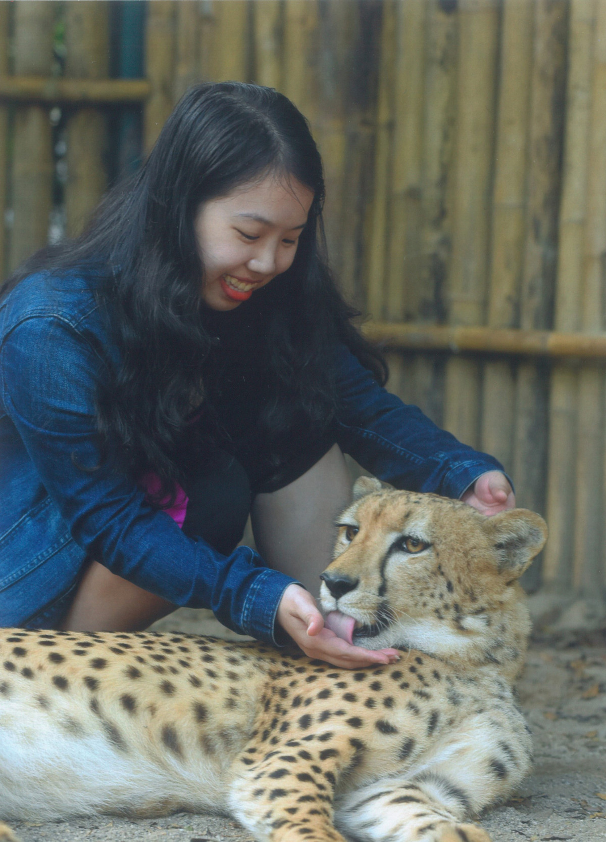 Mac ket vi dich, doi vo chong Viet du lich xuyen Thai Lan-Hinh-5