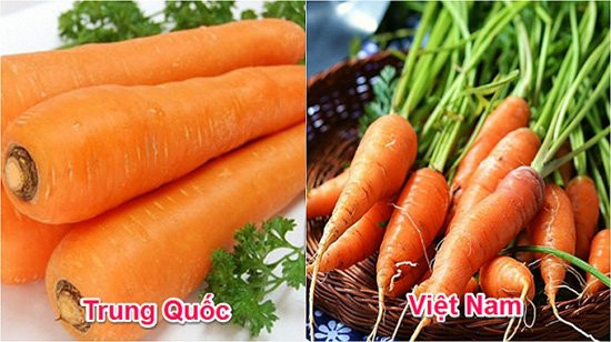 Cà rốt Việt Nam thường nhỏ, có cuống, rễ nhỏ li ti trên thân, củ màu hồng nhạt ngả sang vàng. Cà rốt Trung Quốc bóng loáng, củ đều, to không có cuống hay đầu thường đen do để lâu. 