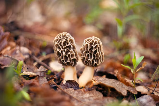 Ty phu giau bac nhat TQ: Tu tho xay thanh bac thay marketing-Hinh-2