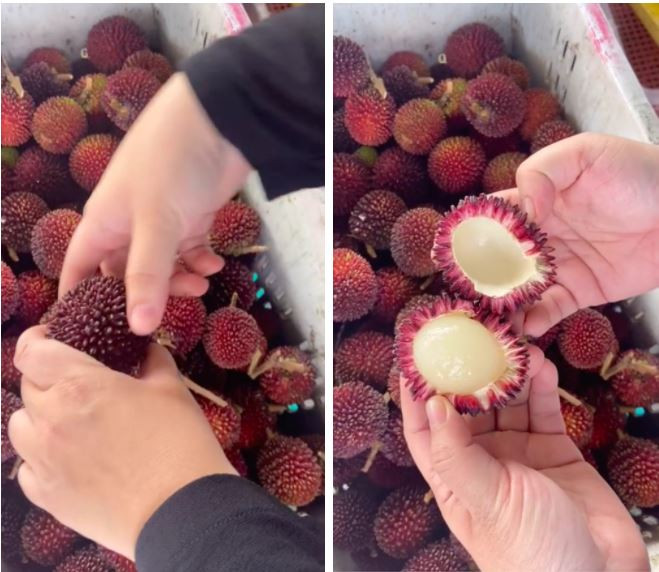 Loai qua gai goc ki la, boc ra da choang, nem thu bat ngo