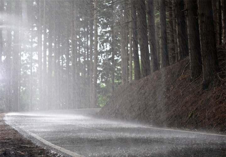 Ban hoan toan co the ngui thay “mui” cua mua vi ly do nay-Hinh-2