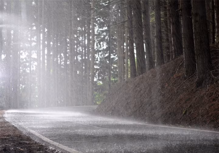 Ban hoan toan co the ngui thay “mui” cua mua vi ly do nay-Hinh-2