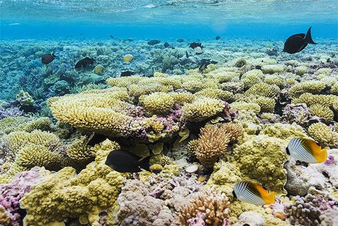  Hòn đảo thần bí Palmyra, Mỹ: Nằm giữa Hawaii và Samoa, đảo Palmyra không hề có người sinh sống. Thực chất đây là một đảo vòng san hô với nước biển trong vắt và hệ động vật đa dạng. Nhiều người cho rằng "nơi đây bị ám bởi những ác quỷ". Trong nhiều thế kỷ quần đảo trở nên nổi danh khắp nơi vì có nhiều tàu đắm gần vùng bờ biển của nó. Hòn đảo bị đồn đại là có những sự kiện siêu nhiên, những bí ẩn không lời giải đáp. Những người từng tới đây đều khẳng định họ cảm thấy bất an hay thấy ánh sáng và rạn san hô đột ngột xuất hiện một cách kỳ bí.