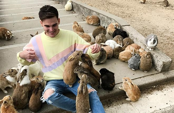 Đảo thỏ Okunoshima, Nhật Bản: Hòn đảo Okunoshima nằm ở biển Inland của Nhật trở thành điểm hút khách nhờ những đàn thỏ mập ú, thân thiện và siêu đáng yêu. Chúng thường lại gần các du khách xin ăn và không ngần ngại trèo vào lòng hay leo lên người du khách.