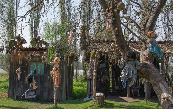  Đảo búp bê La Isla de las Munecas, Mexico: Nghệ sĩ ẩn dật Julian Santana Barrera là người tạo ra những “kiệt tác” đáng sợ trong hơn 50 năm trên hòn đảo nối tiếng này. Chuyện kể rằng Barrera tìm thấy một bé gái bị chết đuối một cách bí ẩn và ông đã không thể cứu sống được cô bé. Ngay sau đó, ông nhìn thấy một con búp bê trôi trên con kênh gần đó và cho rằng con búp bê thuộc về nạn nhân. Ông nhặt lên và treo nó vào một cái cây như một cách để thể hiện sự tôn trọng và cầu nguyện cho linh hồn của cô bé.