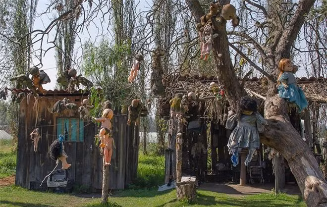  Đảo búp bê La Isla de las Munecas, Mexico: Nghệ sĩ ẩn dật Julian Santana Barrera là người tạo ra những “kiệt tác” đáng sợ trong hơn 50 năm trên hòn đảo nối tiếng này. Chuyện kể rằng Barrera tìm thấy một bé gái bị chết đuối một cách bí ẩn và ông đã không thể cứu sống được cô bé. Ngay sau đó, ông nhìn thấy một con búp bê trôi trên con kênh gần đó và cho rằng con búp bê thuộc về nạn nhân. Ông nhặt lên và treo nó vào một cái cây như một cách để thể hiện sự tôn trọng và cầu nguyện cho linh hồn của cô bé.