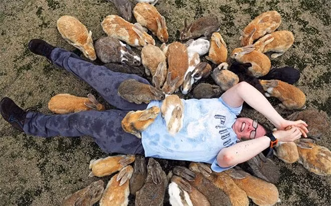 Chúng đều là thỏ hoang, nhưng rất thân thiện và dễ gần, đặc biệt là với người cho đồ ăn. Hòn đảo nhỏ xinh đẹp này hiện thu hút hàng trăm ngàn khách mỗi năm. Hiện nay, trên đảo còn có cả các khách sạn, khu cắm trại và sân golf dành cho du khách nữa.