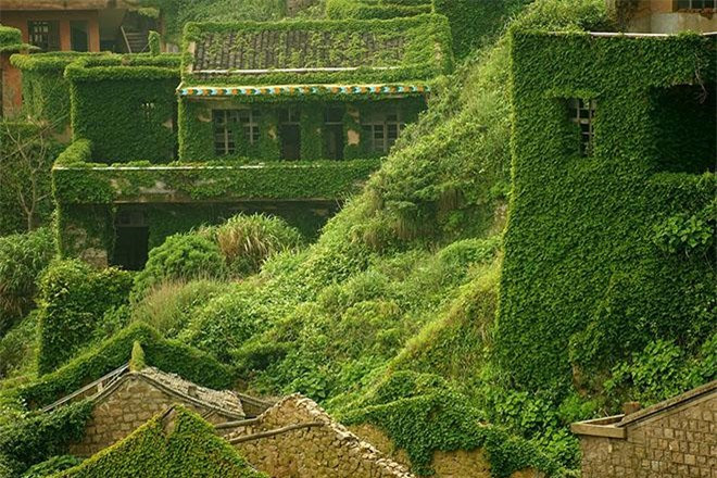 Sau nhiều năm, cả thành phố bằng bao trùm bởi những tấm thảm màu xanh, những ngôi nhà bị bao phủ hoàn toàn bởi dây leo nho và thường xuân. Làng chài đã bị con người bỏ quên, nhưng tự nhiên không bỏ quên nó, nơi đây đã trở thành một kỳ quan thu hút đông đảo khách du lịch ghé thăm hàng năm.