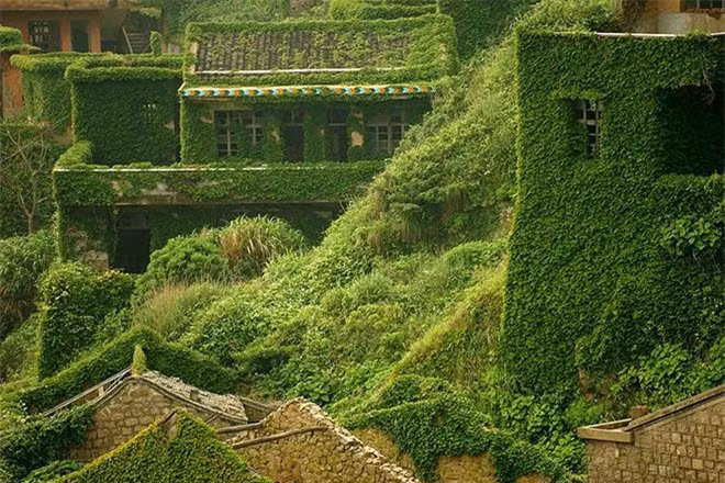 Sau nhiều năm, cả thành phố bằng bao trùm bởi những tấm thảm màu xanh, những ngôi nhà bị bao phủ hoàn toàn bởi dây leo nho và thường xuân. Làng chài đã bị con người bỏ quên, nhưng tự nhiên không bỏ quên nó, nơi đây đã trở thành một kỳ quan thu hút đông đảo khách du lịch ghé thăm hàng năm.