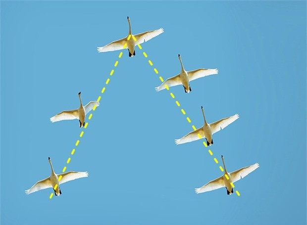 10 điều thường gặp trong cuộc sống ai cũng thắc mắc nhưng lười tra Google - Hình 7 10 dieu thuong gap trong cuoc song ai cung thac mac nhung luoi tra Google-Hinh-7