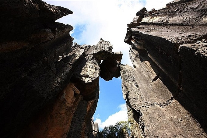 Shillin chia thành nhiều khu rừng nhỏ hơn với các hang động, thác nước, ao, hồ... và đặc biệt có một con sông ngầm chảy sâu bên dưới những ngọn núi khổng lồ.