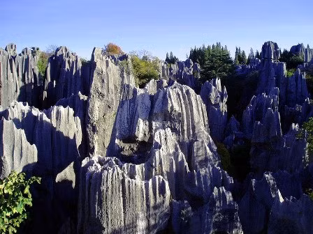 Hằng năm vào ngày 24/6, người Sani tổ chức Lễ hội đốt đuốc hằng năm trong khu rừng để tưởng nhớ Ashima trong truyền thuyết. Lễ hội có các màn đấu vật, đấu bò và các màn múa truyền thống.