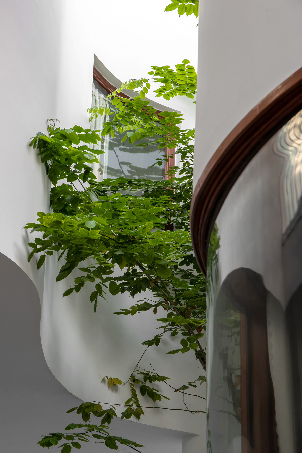 Các khe hốc trong nhà được tận dụng triệt để trồng cây cối.