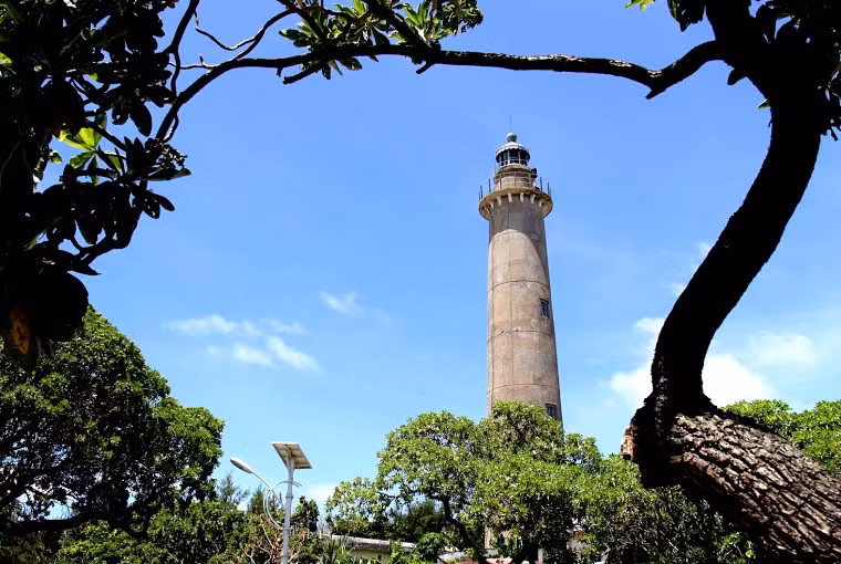 Sức sống song hành giữa các công trình và cây xanh trên đảo.