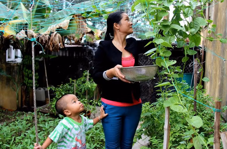 Mặc dù thiếu đất, thiếu nước ngọt nhưng người dân trên đảo vẫn cố cho gia đình mình những vườn rau nho nhỏ như thế này.