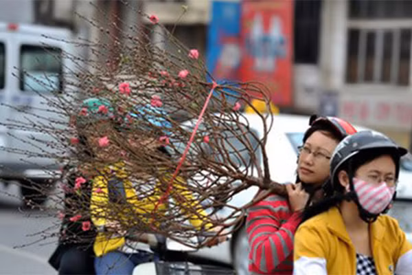 Du bao thoi tiet 6/2: Mien Bac am ap don Tet