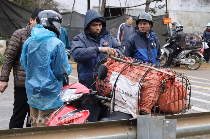 Những khách hàng ở cách chợ từ 20km trở xuống, chỉ cần bỏ ra từ 50.000 -100.000 đồng là người dân sẵn sàng chở lợn về đến tận nhà.