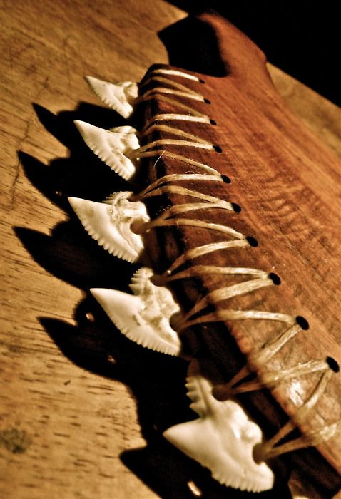 Răng của nhiều loài cá mập có thể được sử dụng, nhưng răng cá mập hổ được ưa thích nhất vì độ sắc của chúng.